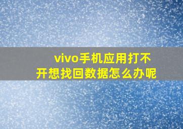 vivo手机应用打不开想找回数据怎么办呢