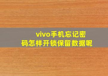 vivo手机忘记密码怎样开锁保留数据呢