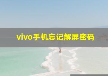 vivo手机忘记解屏密码