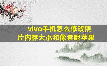 vivo手机怎么修改照片内存大小和像素呢苹果