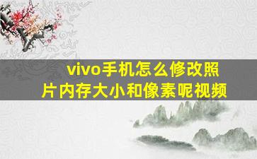 vivo手机怎么修改照片内存大小和像素呢视频