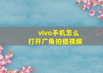 vivo手机怎么打开广角拍摄视频