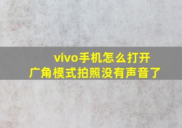 vivo手机怎么打开广角模式拍照没有声音了