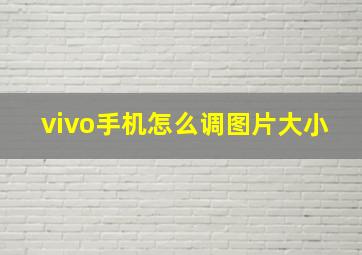 vivo手机怎么调图片大小