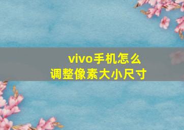 vivo手机怎么调整像素大小尺寸