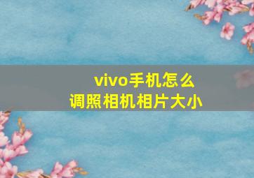 vivo手机怎么调照相机相片大小