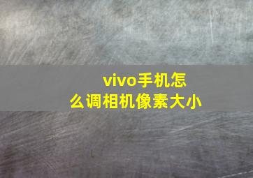 vivo手机怎么调相机像素大小