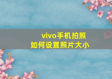 vivo手机拍照如何设置照片大小