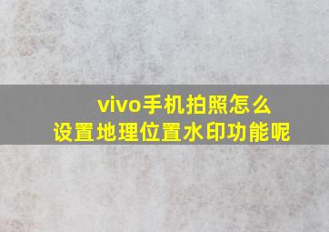 vivo手机拍照怎么设置地理位置水印功能呢