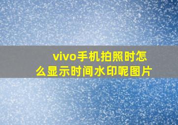 vivo手机拍照时怎么显示时间水印呢图片