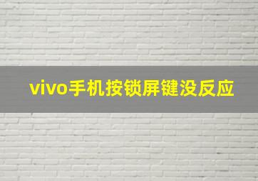 vivo手机按锁屏键没反应