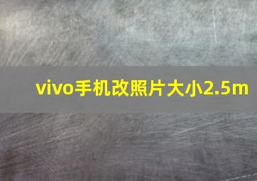 vivo手机改照片大小2.5m