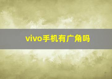 vivo手机有广角吗