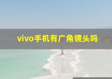 vivo手机有广角镜头吗