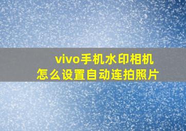 vivo手机水印相机怎么设置自动连拍照片