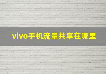 vivo手机流量共享在哪里