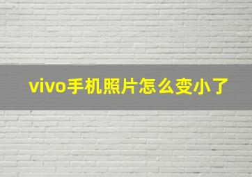 vivo手机照片怎么变小了