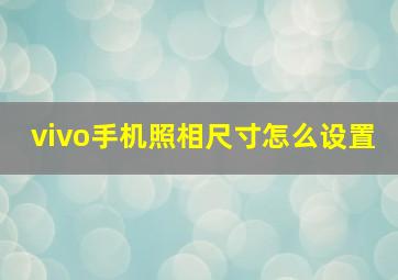 vivo手机照相尺寸怎么设置