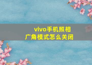 vivo手机照相广角模式怎么关闭