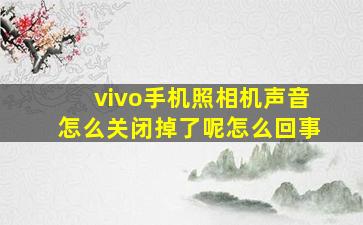 vivo手机照相机声音怎么关闭掉了呢怎么回事