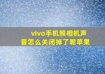 vivo手机照相机声音怎么关闭掉了呢苹果