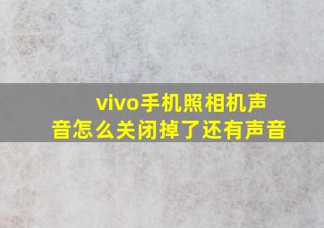 vivo手机照相机声音怎么关闭掉了还有声音