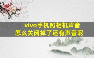 vivo手机照相机声音怎么关闭掉了还有声音呢