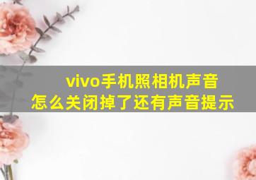 vivo手机照相机声音怎么关闭掉了还有声音提示