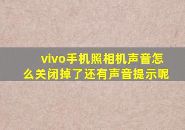 vivo手机照相机声音怎么关闭掉了还有声音提示呢