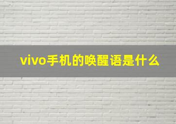 vivo手机的唤醒语是什么