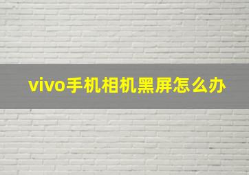 vivo手机相机黑屏怎么办