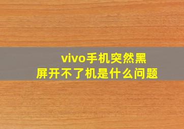 vivo手机突然黑屏开不了机是什么问题