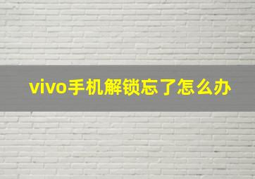 vivo手机解锁忘了怎么办