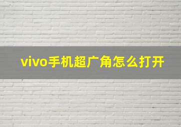 vivo手机超广角怎么打开