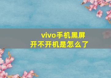 vivo手机黑屏开不开机是怎么了