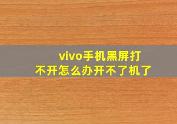 vivo手机黑屏打不开怎么办开不了机了