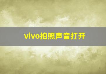 vivo拍照声音打开