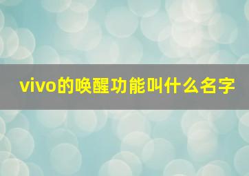 vivo的唤醒功能叫什么名字