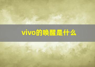 vivo的唤醒是什么