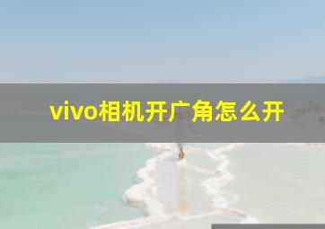 vivo相机开广角怎么开