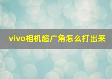 vivo相机超广角怎么打出来