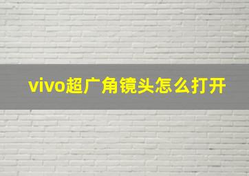 vivo超广角镜头怎么打开