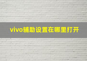 vivo辅助设置在哪里打开