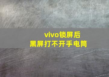 vivo锁屏后黑屏打不开手电筒