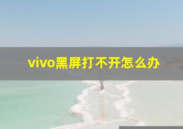 vivo黑屏打不开怎么办