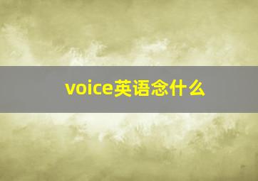 voice英语念什么