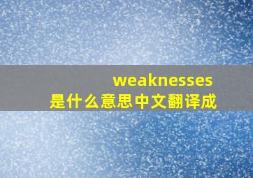 weaknesses是什么意思中文翻译成