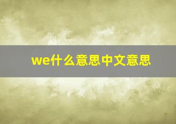 we什么意思中文意思