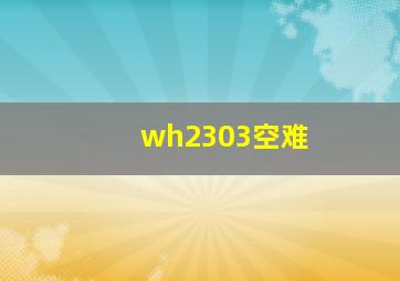 wh2303空难