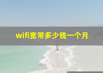 wifi宽带多少钱一个月